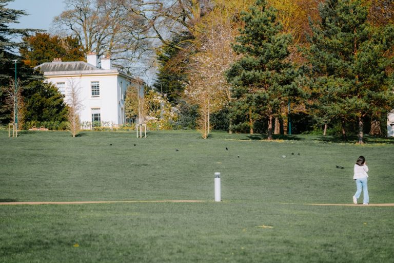 Unleash Your Inner Champion with Quinton Field: The Thrill of Fantasy Cricket Awaits!